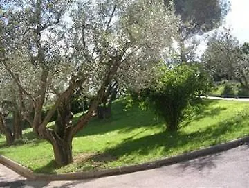 Tirrenus Perugia